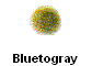 Bluetogray